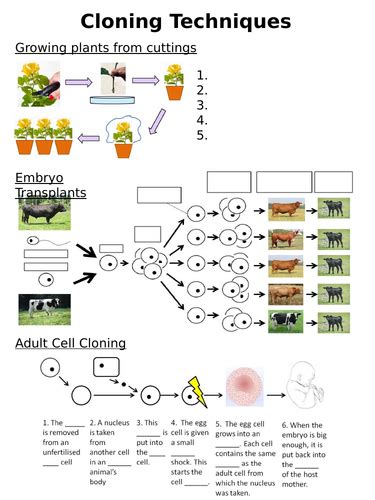 New Aqa Gcse Trilogy 2016 Biology Cloning Ht Teaching Resources