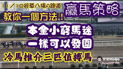 贏馬策略教你一個方法本金小窮馬迷一樣可以發圍冷馬推介三匹值搏馬1110谷草八場a跑道 Youtube