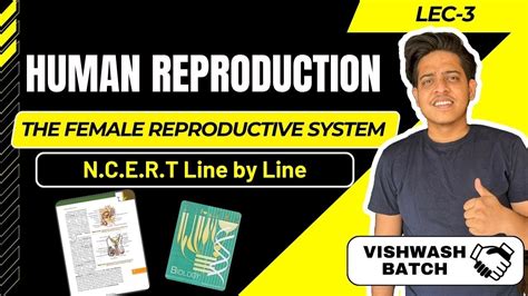 Human Reproduction Ncert Line By Line The Female Reproductive