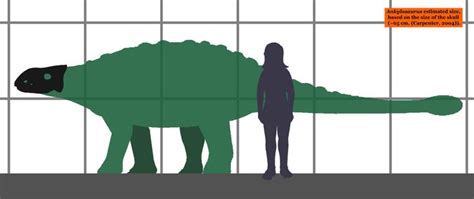 Ankylosaurus_estimated_size_01.png (1124×474) - Dinosauria ...