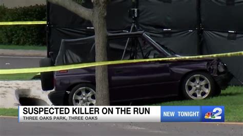 Man Shot And Killed In Three Oaks Park Shooter On The Loose Youtube