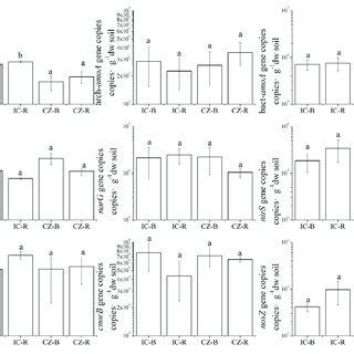 Abundances Of Genes Involved In Nitrogen Cycling In The Rhizosphere