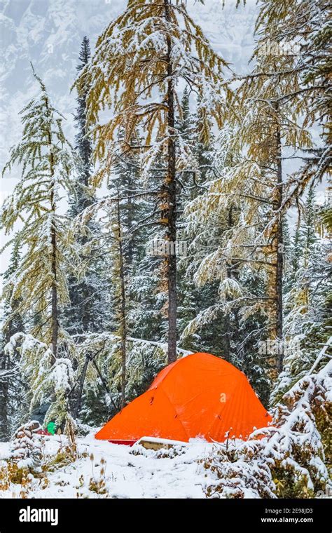 Campsite At Floe Lake Campground In Kootenay National Park In The