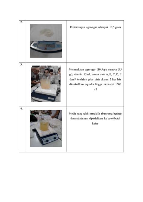 Pembuatan Larutan Stok And Media Ms Pdf