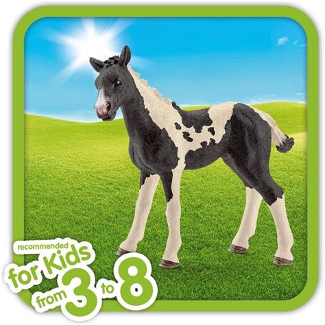 Schleich Pinto foal - The Online Toy Store