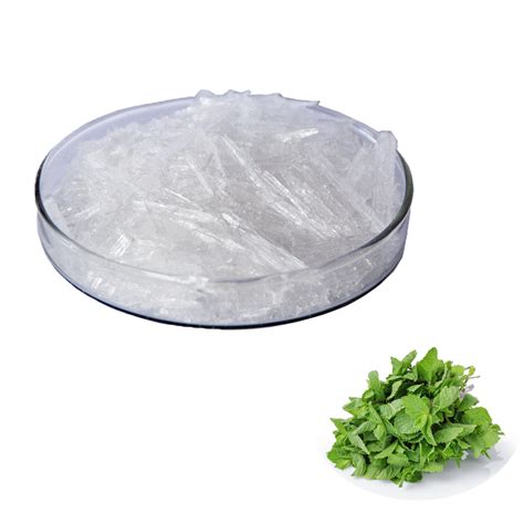 100 Pure Natural Organic Menthol Manufacture In China China Peppermint Extract Menthol Powder