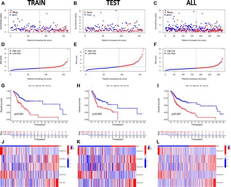 Frontiers Identification And Validation Of A Novel Cuproptosis