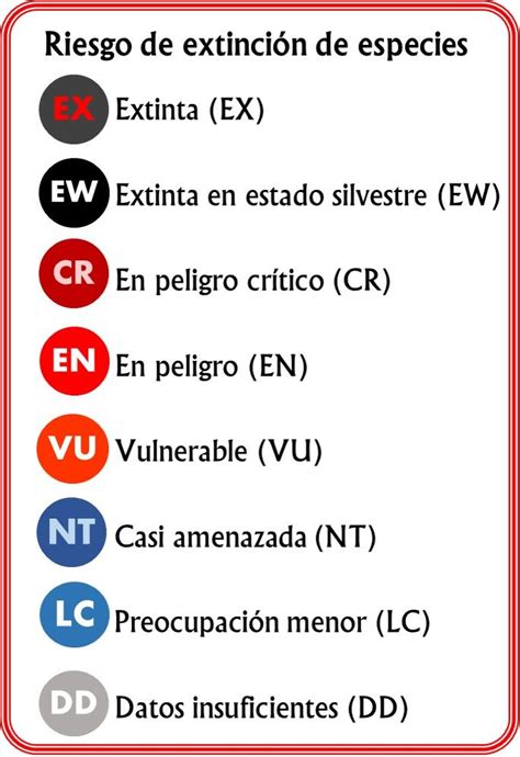 Estado De Conservaci N Por Riesgo De Extinci N Extincion De Especies