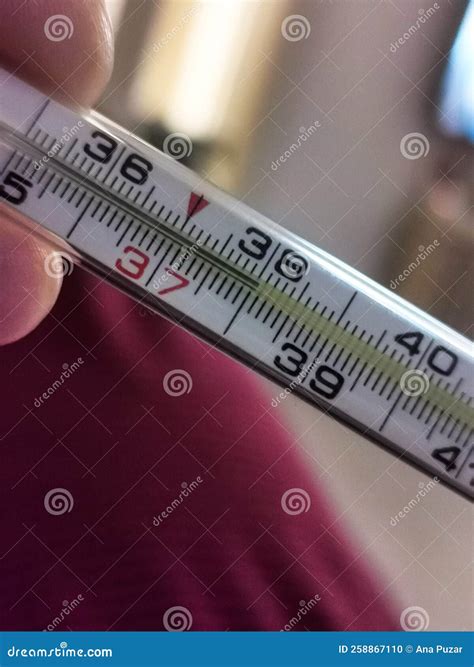 Medical Mercury Thermometer In A Hand Stock Photo Image Of Organ