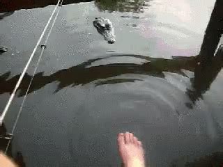 Fishing GIF - Fishing - Discover & Share GIFs