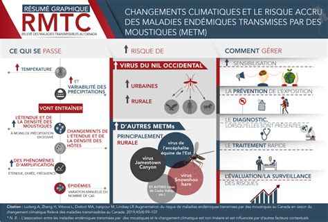 Maladies endémiques transmises par des moustiques dues au changement