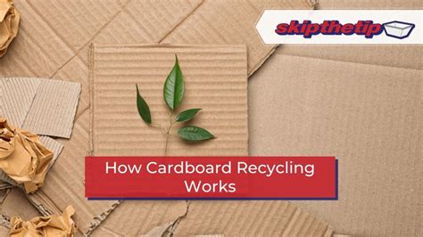 How Cardboard Recycling Works - Skip the Tip