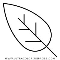 Pianta Disegni Da Colorare Ultra Coloring Pages