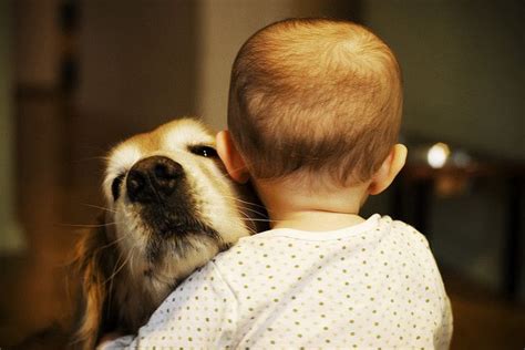 Best Friends Dog Love Pets Baby Dogs