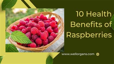 Incredible Health Benefits Of Raspberries Well Organs