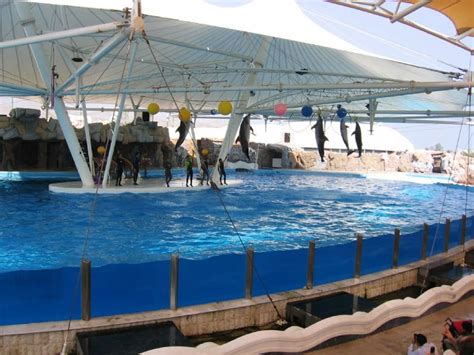 Kish Dolphin Park