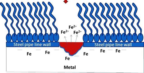 Sketch Of Adsorption Of Imidazoline Corrosion Inhibitor On Corroding Fe