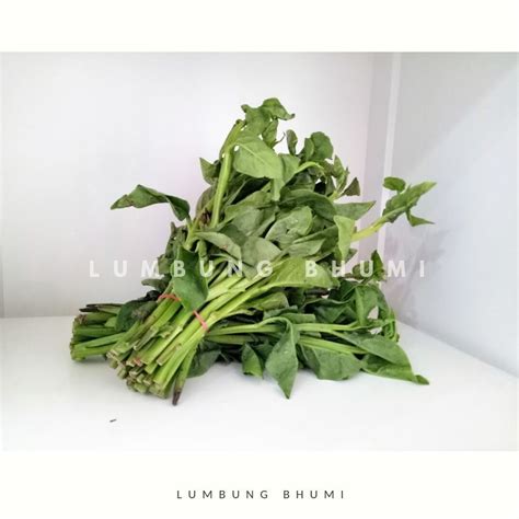 Jual Lumbung Bhumi Daun Dewa Gr Sayur Curah Shopee Indonesia