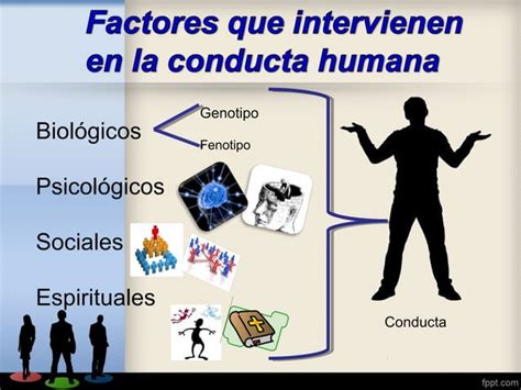 Conducta Humana Ppt