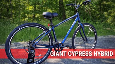 Giant Cypress Lx Atelier Yuwa Ciao Jp