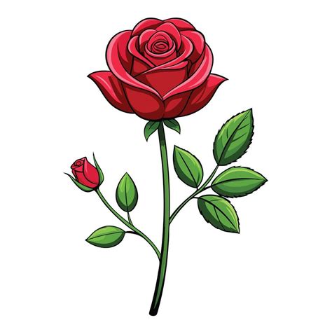 Rose flower sketch art illustration 46959154 Vector Art at Vecteezy