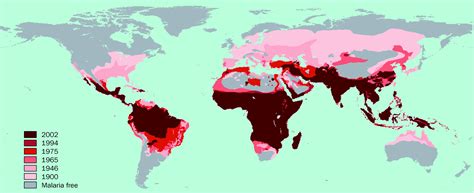 Malaria Map