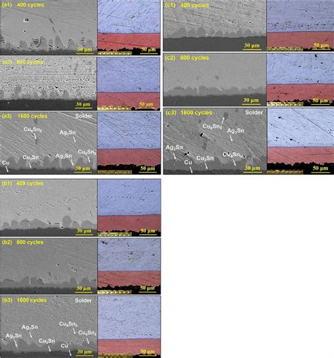 SEM And Metallographic Section Images Of The Interfacial IMCs After