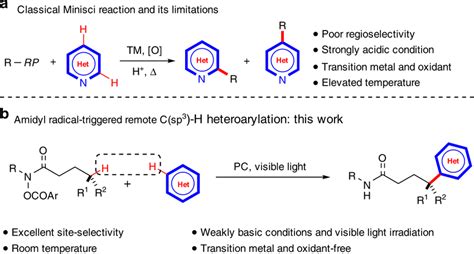 Alkylation Of Hereroarenes A Classical Minisci Reaction And Its