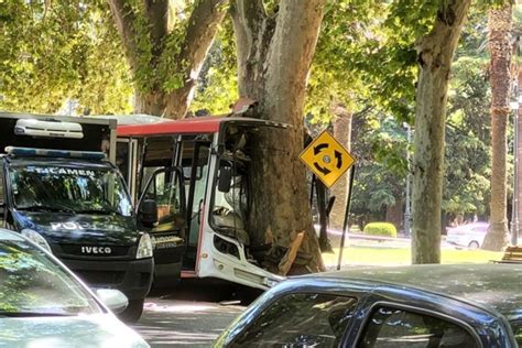 El chofer de un colectivo murió tras perder control y chocar contra un