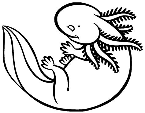 Pagine Da Colorare Di Axolotl Coloringpagesonly