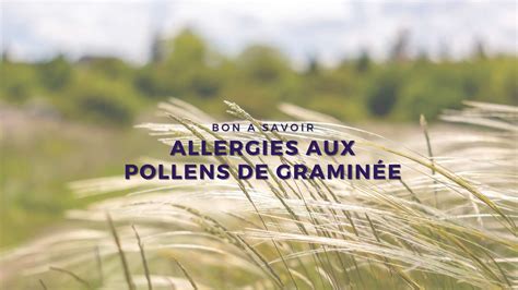 Pollens De Gramin Es A Va Piquer Fort Livepollen