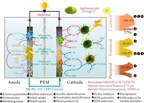 Frontiers Photocatalytic Microbial Fuel Cells And Performance