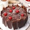 Black Forest Regular Cakes Dapur Cokelat