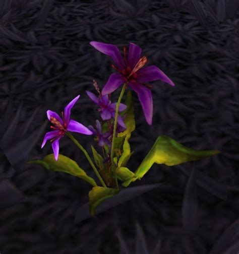 Herbs For Healing Quest World Of Warcraft