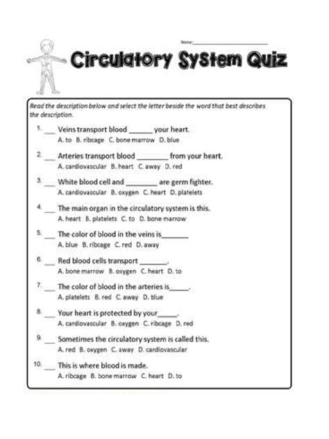 Grade 6 Circulatory System Pdf