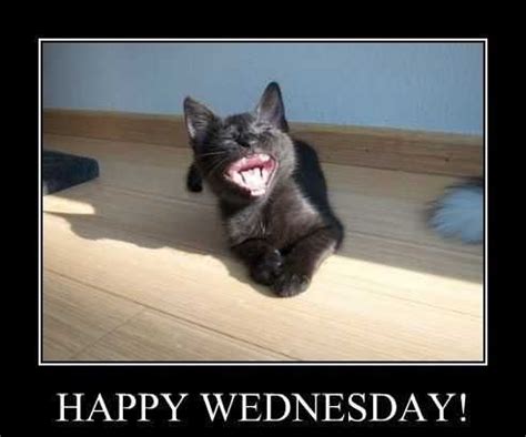 Wednesday Work Meme Discover more interesting Happy Wednesday, Its ...