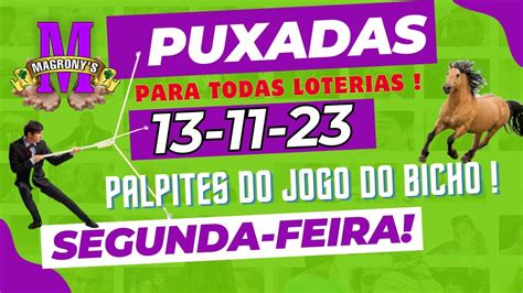 PUXADAS PTM BAHIA LOOK PB SP LN E SPE PALPITES DIA 13 11 2023 DO JOGO