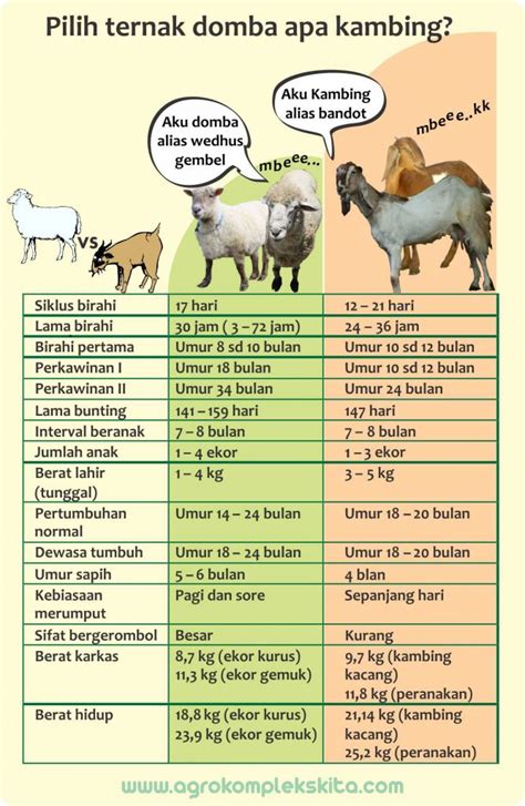 Pedoman Budidaya Kambing Bag I Persiapan Bibit Agrokompleks Kita