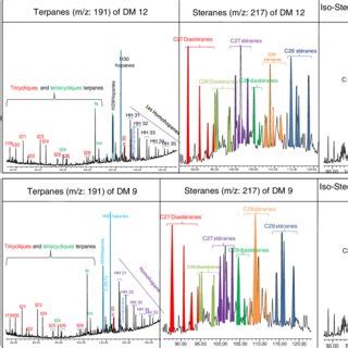 Mass Chromatograms Showing The Distribution Of Terpanes M Z