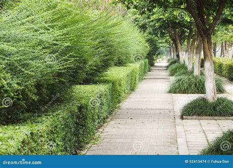 Sidewalk Stock Photo - Image: 52413474