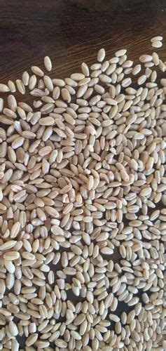 Wheat Grain Packaging Type Jute Bag Packaging Size Kg At Best