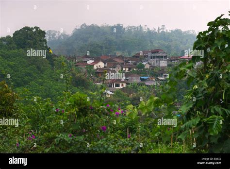 Village Houses With Rice Paddy Bali Island Indonesia Stock Photo Alamy