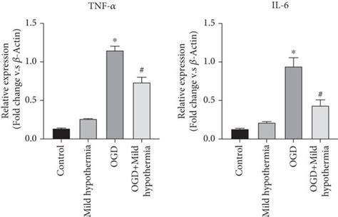 Effects Of Mild Hypothermia On The Mrna Expression Of Il And Tnf In