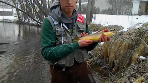 Wisconsin Trout Fishing Early Season 2012 Youtube