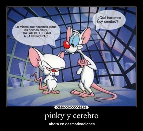 Lista Foto Im Genes De Pinky Y Cerebro Con Frases Cena Hermosa