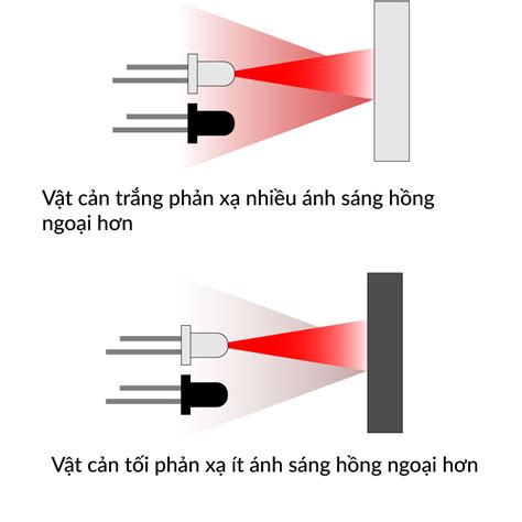 C M Bi N V T C N H Ng Ngo I Ho T Ng Nh Th N O C Nh Ng Lo I C M