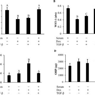 The Effects Of Different Combinations Of Serum Dexamethasone Dex