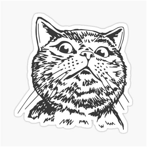 Cat Meme Sticker For Sale By Designdroplet Redbubble