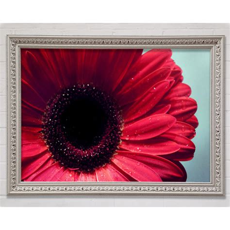 Ebern Designs Gerbera Blume Tiefrot Gerahmter Druck Wayfair De