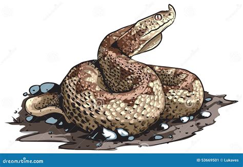 Vipera ammodytes stock vector. Illustration of phobia - 53669501